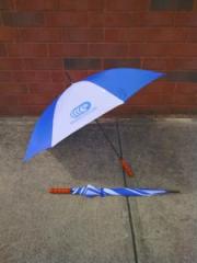 Umbrella-225x300.jpg