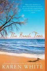 beachtrees.jpg