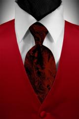 red vest and paisley tie.jpg