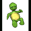 Floppin Turtle