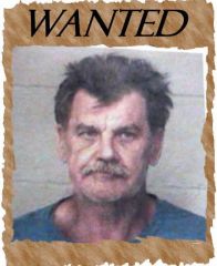 Paulding Quick Bail's Most Wanted
